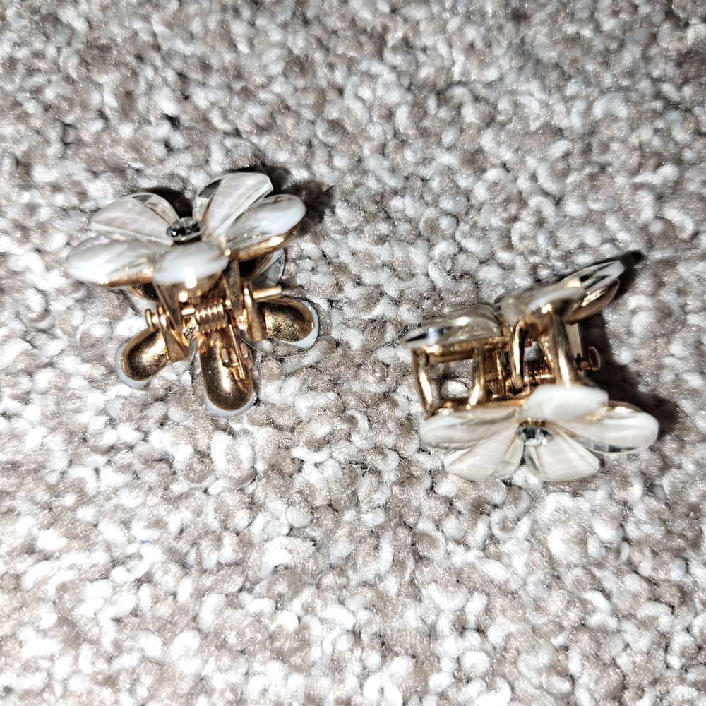 Set Of Two Hair Clip Accessory - Picture 3 of 5